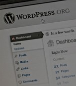 WordPress Developers